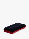 Blue Classic Signature Colour-Blocked Velour Beach Towel  Unisex