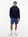 Blue Regular Logo Hoody  Men