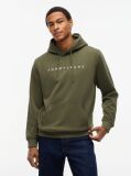 Green Regular Logo Hoody  Men