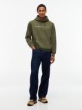 Green Regular Logo Hoody  Men