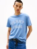 Blue Regular Fit Paisley College T-Shirt  Men