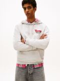 Grey Logo Terry Hoody  Men