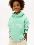 Green Mixed Logo Graphic Hoody  Boys