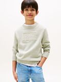 Green Signature Tonal Logo Flag Jumper  Boys