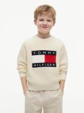 Beige Heritage Flag Chunky Knit Jumper  Boys