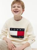 Beige Heritage Flag Chunky Knit Jumper  Boys