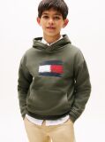 Green Hilfiger Flag Hoody  Boys