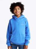 Blue Signature Tape Logo Hoody  Kids Unisex