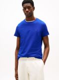 Blue Flag Embroidery Slim Fit T-Shirt  Men