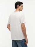 Beige Wavy Flag T-Shirt  Men