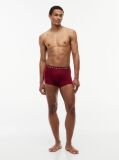 Multi 3-Pack TH Original Logo Waistband Trunks  Men