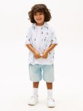 Multi Print Ithaca Stripe Short Sleeve Oxford Shirt  Boys