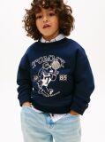 Blue Graphic Logo Terry Sweatshirt  Boys