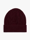 Red TH Crest Knit Beanie  Kids Unisex