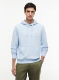 Blue Flag Embroidery Terry Hoody  Men