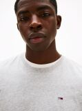 Grey Regular Fit Crew T-Shirt  Men