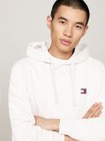 Grey Badge Drawstring Hoody  Men