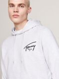 Grey Signature Logo Drawstring Hoody  Men