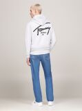 Grey Signature Logo Drawstring Hoody  Men