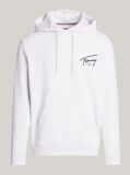 Grey Signature Logo Drawstring Hoody  Men