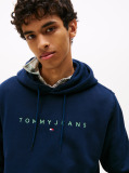 Blue Regular Logo Hoody  Men