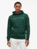 Green Regular Logo Hoody  Men