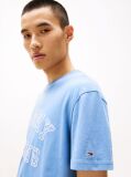 Blue Regular Fit Paisley College T-Shirt  Men