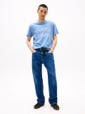 Blue Regular Fit Paisley College T-Shirt  Men