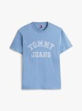Blue Regular Fit Paisley College T-Shirt  Men