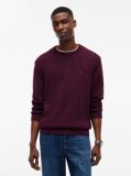 Purple Crew Neck Slim Jumper  Men