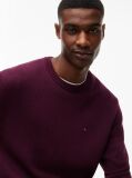 Purple Crew Neck Slim Jumper  Men