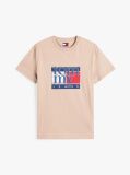 Beige Flag Graphic Slim T-Shirt  Men