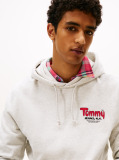 Grey Logo Terry Hoody  Men