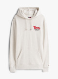 Grey Logo Terry Hoody  Men
