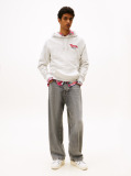 Grey Logo Terry Hoody  Men