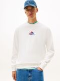 Beige Mountain Logo Embroidery Terry Sweatshirt  Men