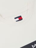 Beige Flag Badge Jersey Crew Neck T-Shirt  Men