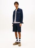 Denim Ryan Regular Denim Trucker Jacket  Men