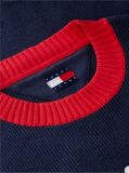 Blue Classic Logo Appliqué Jumper  Men
