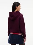 Purple Crest Wavy Flag Boxy Hoody  Women
