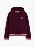 Purple Crest Wavy Flag Boxy Hoody  Women