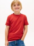Red Essential Organic Cotton T-Shirt  Boys