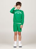Green Hilfiger Monotype Logo Embroidery Shorts  Boys