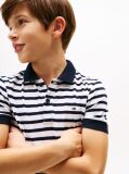 Blue Essential Flag Embroidery Regular Fit Polo  Boys