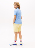 Blue Essential Flag Embroidery Regular Fit Polo  Boys