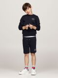 Blue Hilfiger Logo Crew Neck Sweatshirt  Boys