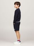 Blue Hilfiger Logo Crew Neck Sweatshirt  Boys