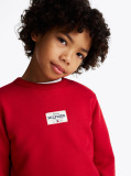 Red 1985 Collection Patch Sweatshirt  Boys