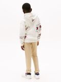 White Flag Character Hoody  Boys