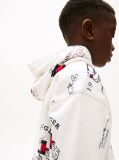 White Flag Character Hoody  Boys